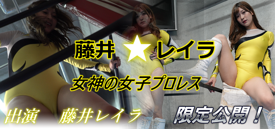 䃌C_̏qvX