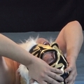生駒はるなに敗北したナック