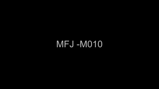 MFJ M010