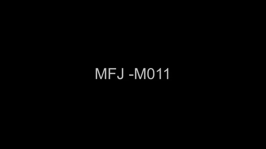 MFJ M010